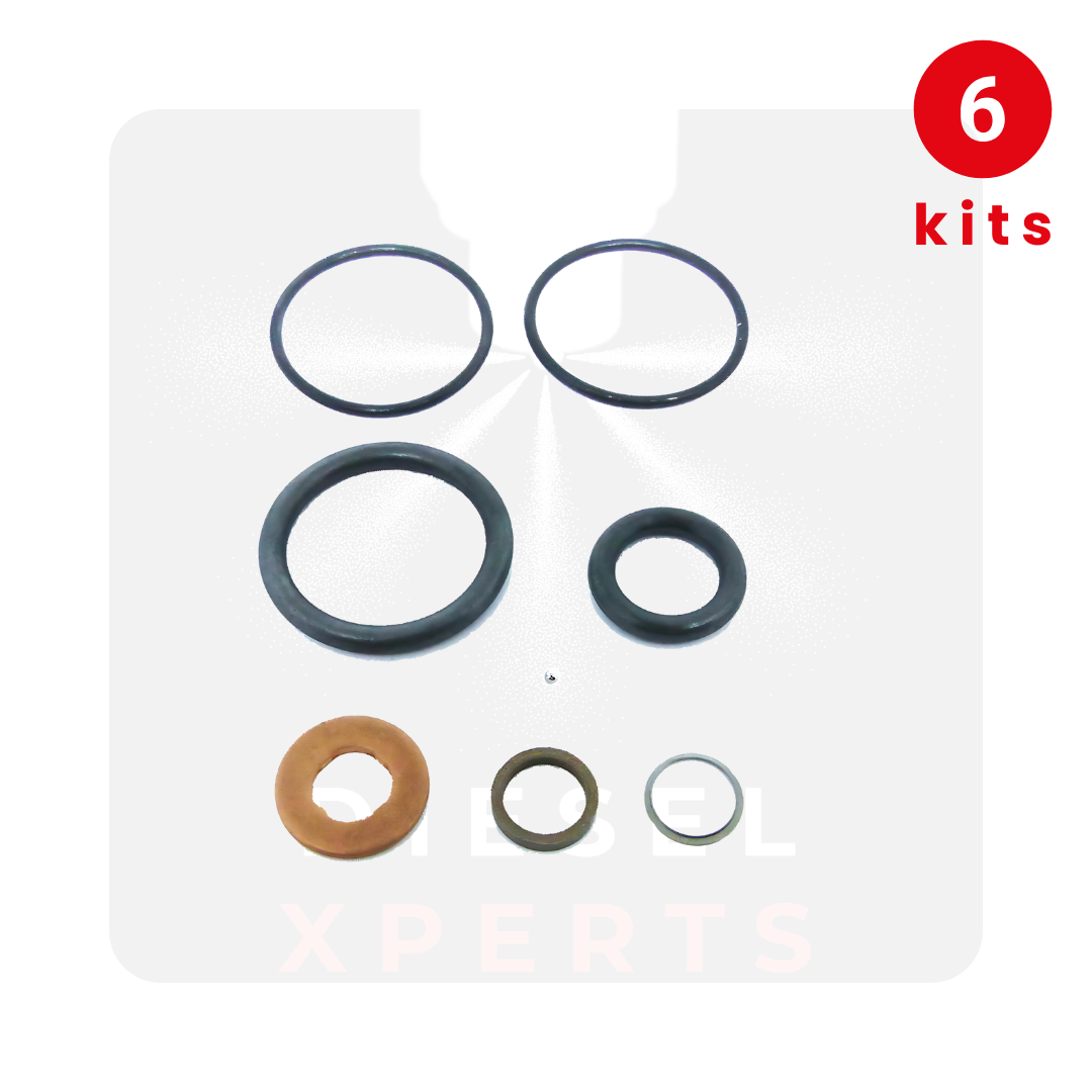Dodge 5.9 CRIN1 - Service kit set for injector