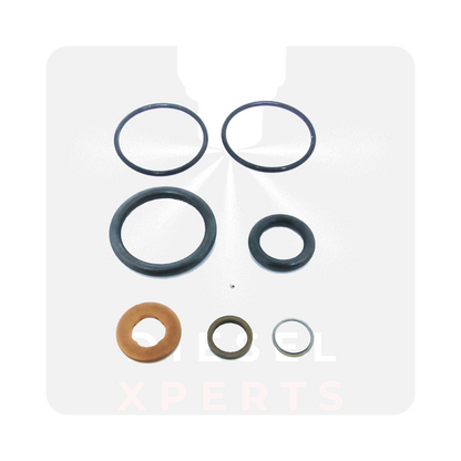 Dodge 5.9 - Service kit for injector